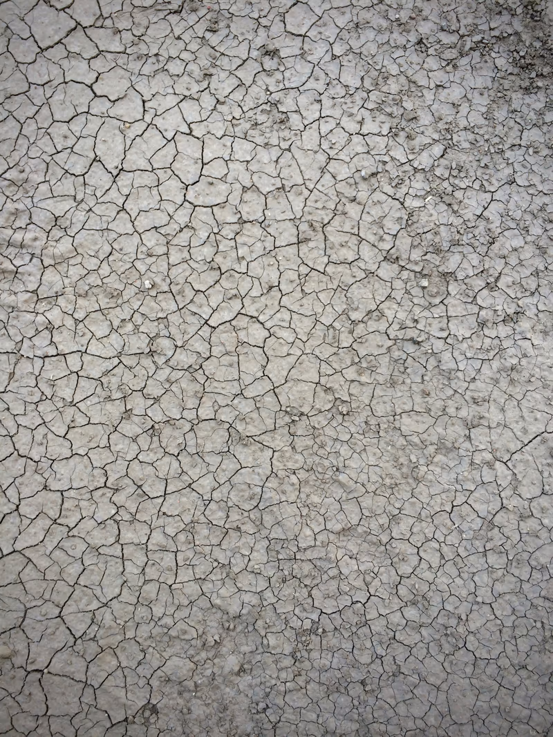 Close view of a dried soil surface broken into a dense network of polygonal shrinkage cracks
